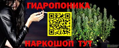 ПСИЛОЦИБИНОВЫЕ ГРИБЫ Дубна