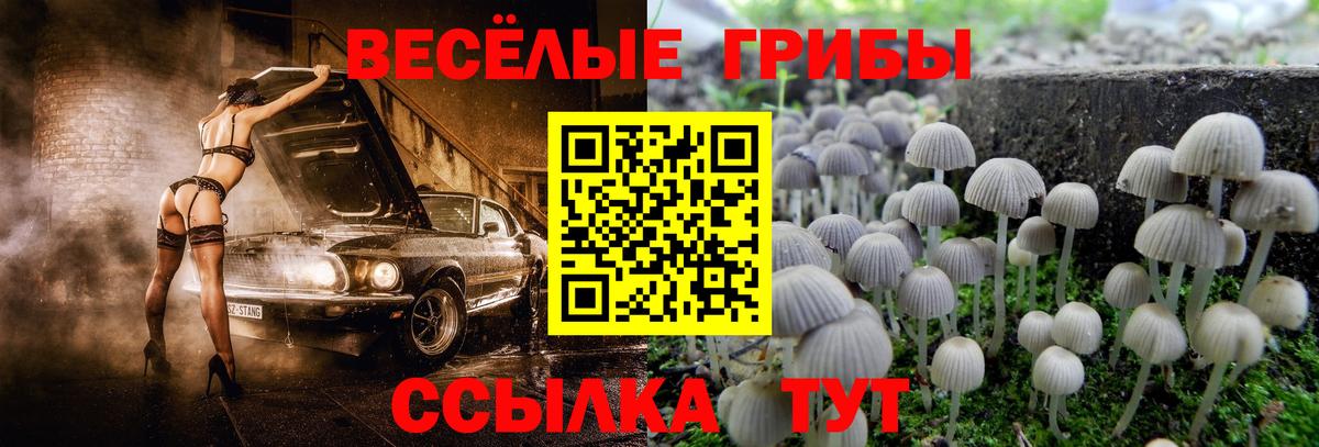 Галлюциногенные грибы Cubensis  Вход с VPN  Псилоцибиновые грибы Cubensis  магазин  наркотиков  Ливны 