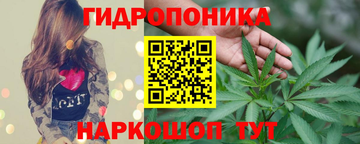 Шишки марихуана Bruce Banner Ливны